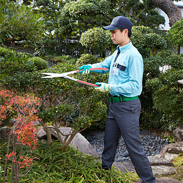 庭木の剪定 | 庭木を元気にしたい | お掃除サービスのダスキン