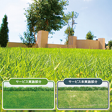 芝刈りが楽になるサービス | 芝生を元気にしたい | お掃除サービスの